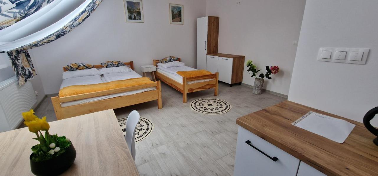 Zielona Ostoja Ulica Szpitalna 3C Apartment Kamieniec Zabkowicki Exterior photo